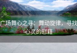 广场舞心之寻：舞动旋律，寻找心灵的慰藉