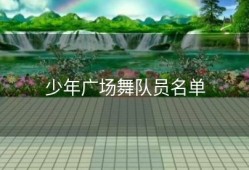 少年广场舞队员名单