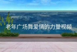 老年广场舞爱情的力量视频