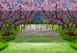 广场舞呼伦贝尔