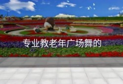 专业教老年广场舞的