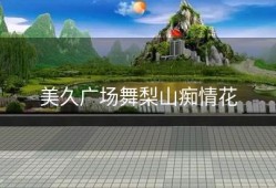 美久广场舞梨山痴情花