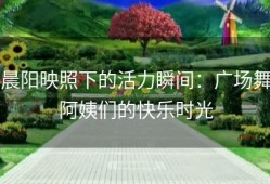 晨阳映照下的活力瞬间：广场舞阿姨们的快乐时光