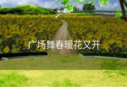 广场舞春暖花又开