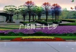 广场舞三十七步