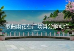 歌曲雨花石广场舞分解动作