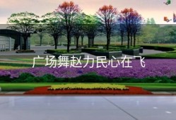 广场舞赵力民心在飞