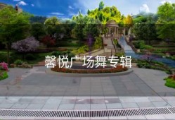 馨悦广场舞专辑