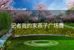 记者我的家燕子广场舞