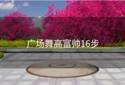 广场舞高富帅16步