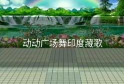 动动广场舞印度藏歌