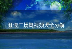 狂浪广场舞视频大全分解
