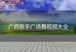 广西歌手广场舞视频大全