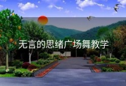 无言的思绪广场舞教学