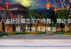 六安社区蝶恋花广场舞：舞动幸福，绽放邻里情谊