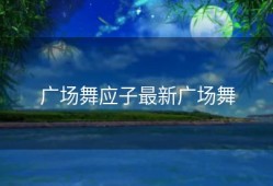 广场舞应子最新广场舞