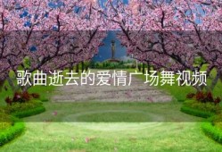 歌曲逝去的爱情广场舞视频