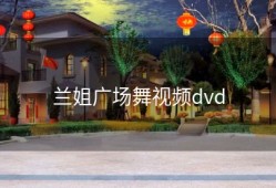 兰姐广场舞视频dvd