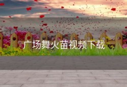 广场舞火苗视频下载