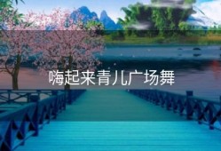 嗨起来青儿广场舞