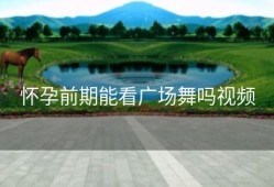 怀孕前期能看广场舞吗视频