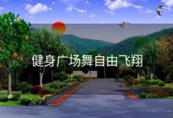 健身广场舞自由飞翔