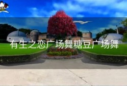 有生之恋广场舞糖豆广场舞