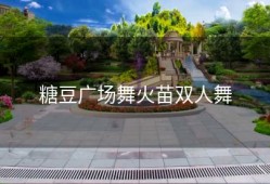 糖豆广场舞火苗双人舞