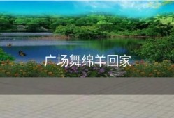 广场舞绵羊回家