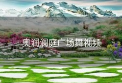奥润澜庭广场舞视频