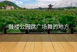 鼓楼公园跳广场舞的地方