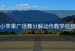 小苹果广场舞分解动作教学视频
