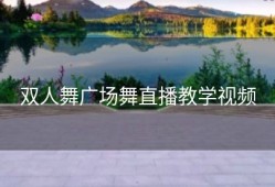 双人舞广场舞直播教学视频