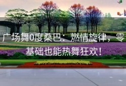 广场舞0度桑巴：燃情旋律，零基础也能热舞狂欢！