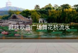 藏族歌曲广场舞花桥流水