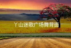 丫山迷歌广场舞背面