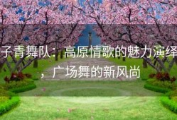 子青舞队：高原情歌的魅力演绎，广场舞的新风尚