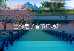 当你老了春节广场舞