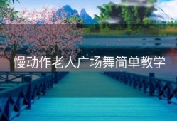 慢动作老人广场舞简单教学