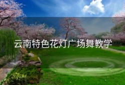 云南特色花灯广场舞教学