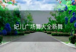 妃儿广场舞大全新舞