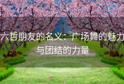 六哲朋友的名义：广场舞的魅力与团结的力量