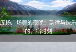庞杨广场舞的夜晚：韵律与快乐的归宿时刻
