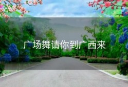 广场舞请你到广西来