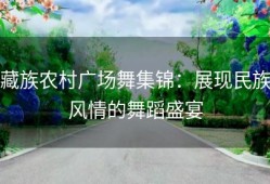 藏族农村广场舞集锦：展现民族风情的舞蹈盛宴