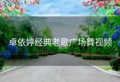 卓依婷经典老歌广场舞视频