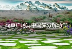 简单广场舞中国梦分解动作