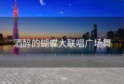 酒醉的蝴蝶大联唱广场舞