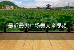 最近最火广场舞大全视频