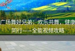 广场舞好兄弟：欢乐共舞，健康同行——全能视频攻略